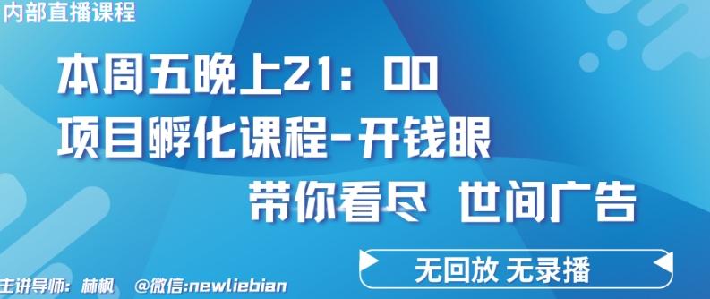 4.26日内部回放课程《项目孵化-开钱眼》赚钱的底层逻辑【揭秘】-小鹏项目网