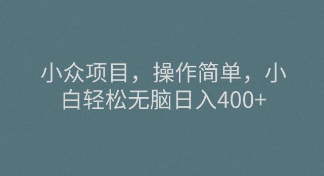 小众项目，操作简单，小白轻松无脑日入400+-小鹏项目网
