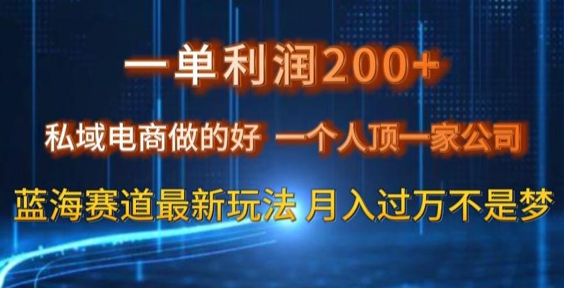一单利润200私域电商做的好，一个人顶一家公司蓝海赛道最新玩法【揭秘】-小鹏项目网