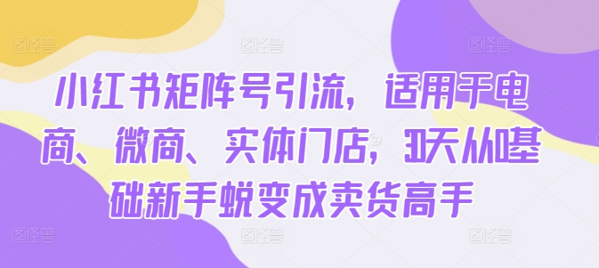 小红书矩阵号引流，适用于电商、微商、实体门店，30天从0基础新手蜕变成卖货高手-小鹏项目网