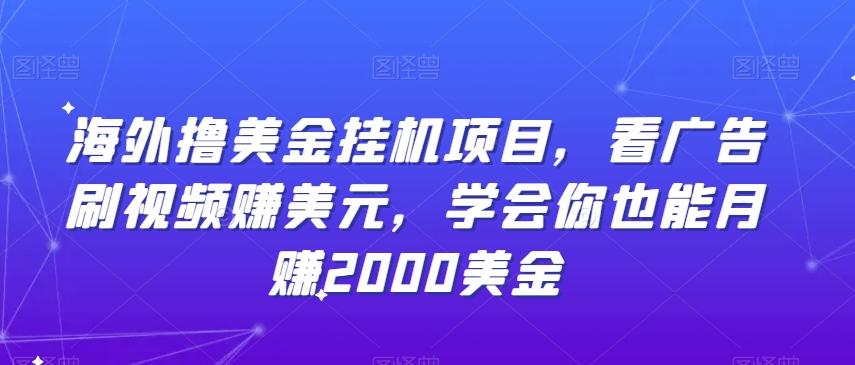 海外撸美金挂机项目，看广告刷视频赚美元，学会你也能月赚2000美金-小鹏项目网