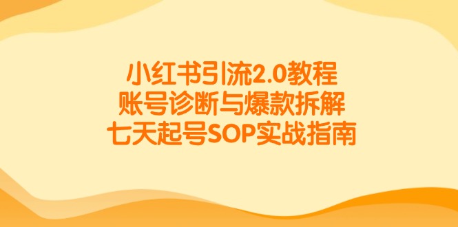 小红书引流2.0教程，账号诊断与爆款拆解，七天起号SOP实战指南-小鹏项目网