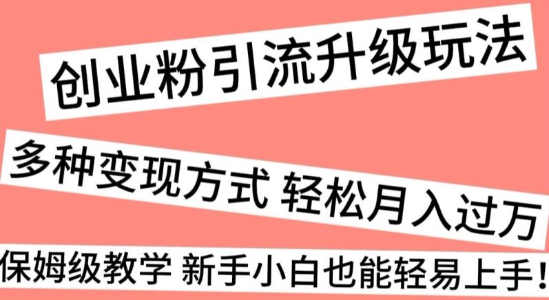 创业粉引流升级玩法，多种变现方式轻松月入过万，保姆级教学新手小白也能轻易上手！-小鹏项目网
