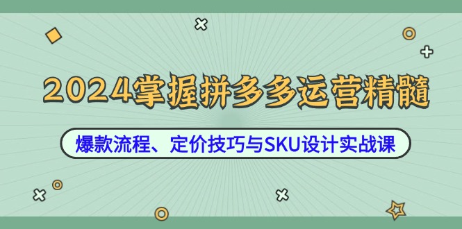 2024掌握拼多多运营精髓：爆款流程、定价技巧与SKU设计实战课-小鹏项目网