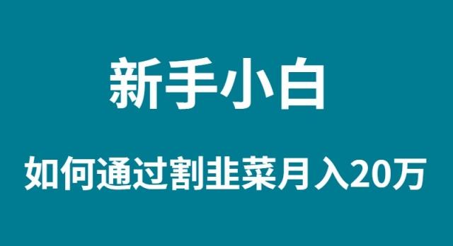 (9308期)新手小白如何通过割韭菜月入 20W-小鹏项目网