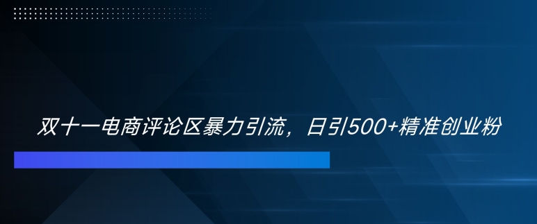 双十一电商评论区暴力引流，日引500+精准创业粉【揭秘】-小鹏项目网