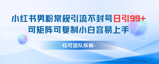 小红书男粉常规引流不封号日引99+变现简单 可矩阵可复制小白容易上手-小鹏项目网