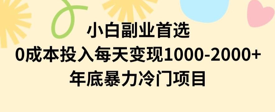 小白副业首选，0成本投入，每天变现1000-2000年底暴力冷门项目【揭秘】-小鹏项目网