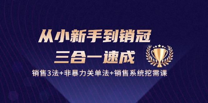 从小新手到销冠 三合一速成：销售3法+非暴力关单法+销售系统挖需课 (27节-小鹏项目网