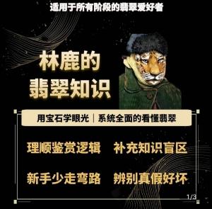 林鹿的翡翠知识，​用宝石眼光，系统全面的看懂翡翠-小鹏项目网