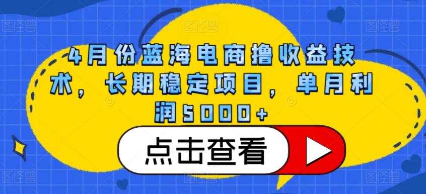 4月份蓝海电商撸收益技术，长期稳定项目，单月利润5000+【揭秘】-小鹏项目网
