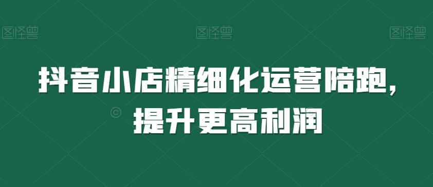 抖音小店精细化运营陪跑，提升更高利润-小鹏项目网