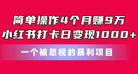 简单操作4个月赚9w，小红书打卡日变现1k，一个被忽视的暴力项目【揭秘】-小鹏项目网