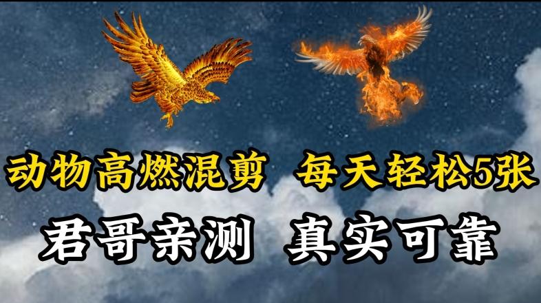 动物超燃混剪，每天轻松5张，剪辑简单大家爱看【揭秘】-小鹏项目网