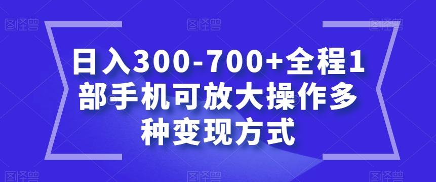 日入300-700+全程1部手机可放大操作多种变现方式【揭秘】-小鹏项目网