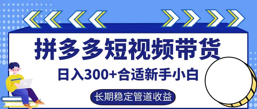 拼多多短视频带货日入300+，实操账户展示看就能学会-小鹏项目网