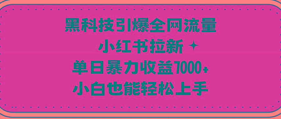 (9679期)黑科技引爆全网流量小红书拉新，单日暴力收益7000+，小白也能轻松上手-小鹏项目网