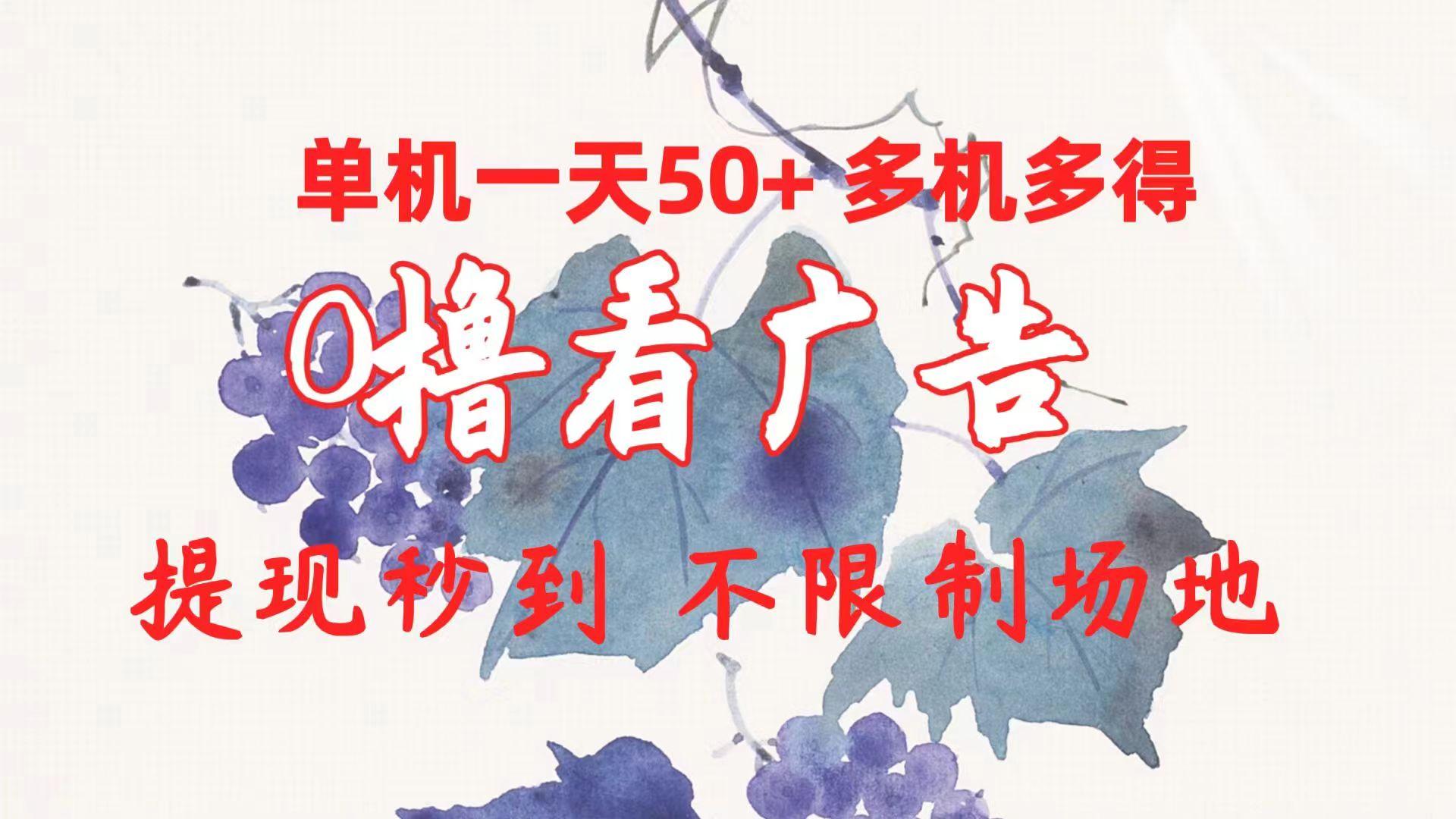 0撸看广告 单机一天50+多机多得 提现秒到 不限制场地操作-小鹏项目网