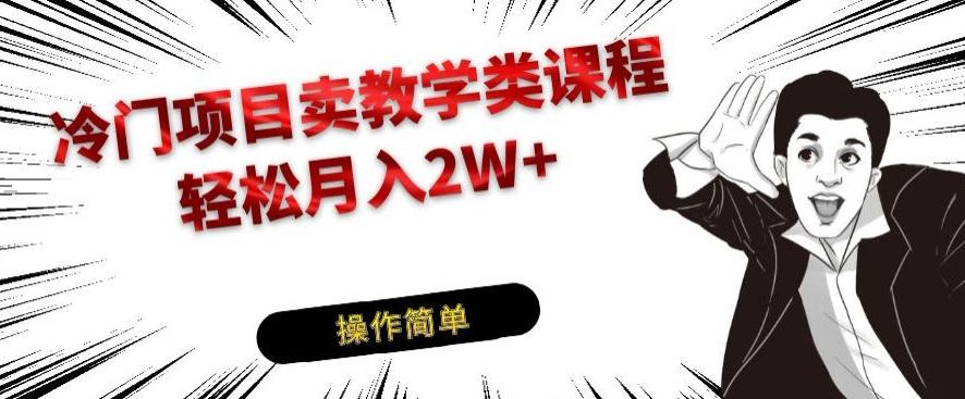 冷门项目卖教学类课程，轻松月入2W+-小鹏项目网