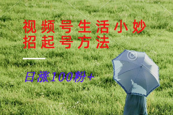 视频号生活小妙招分享赛道， 起号涨粉新方法，日涨100粉-小鹏项目网