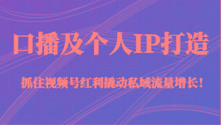 口播及个人IP打造，抓住视频号红利撬动私域流量增长！（45节课）-小鹏项目网