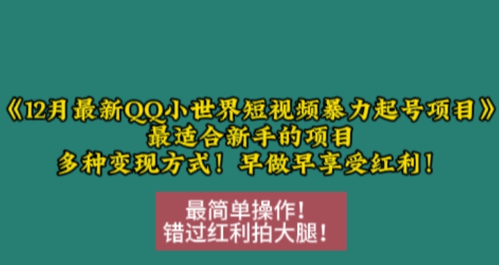 12月最新QQ小世界短视频暴力起号项目，最适合新手的项目，多种变现方式-小鹏项目网