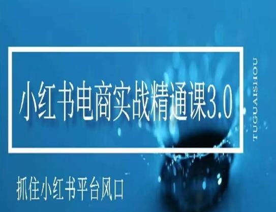 小红书电商实战精通课3.0，抓住小红书平台的风口，不错过有一个赚钱的机会-小鹏项目网