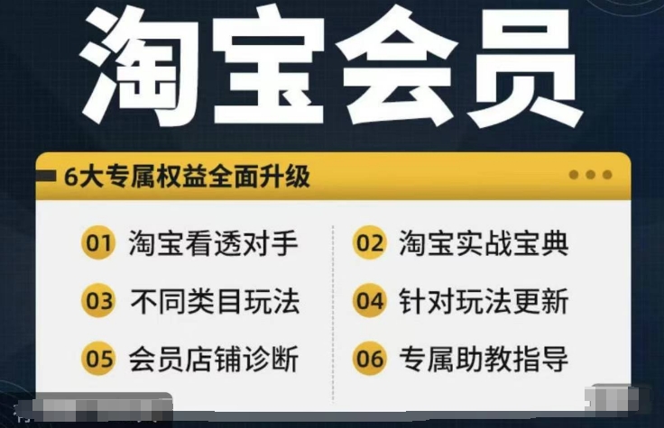 淘宝会员【淘宝所有课程，全面分析对手】，初级到高手全系实战宝典-小鹏项目网