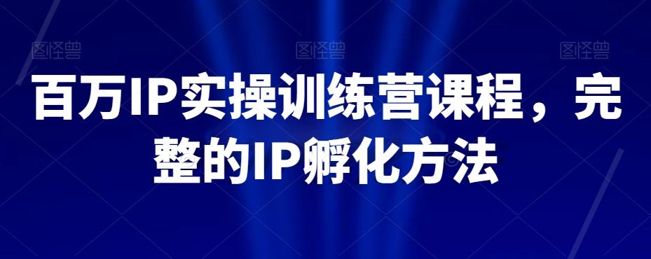 百万IP实操训练营课程，完整的IP孵化方法-小鹏项目网