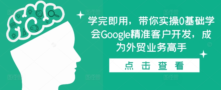 学完即用，带你实操0基础学会Google精准客户开发，成为外贸业务高手-小鹏项目网
