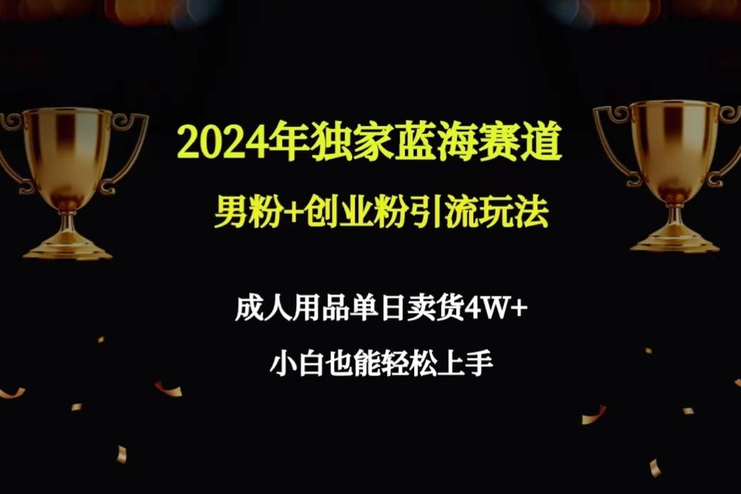 2024年独家蓝海赛道男粉+创业粉引流玩法，成人用品单日卖货4W+保姆教程-小鹏项目网