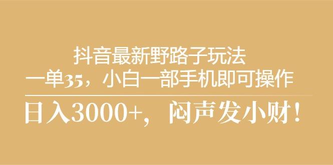 抖音最新野路子玩法，一单35，小白一部手机即可操作，，日入3000+，闷…-小鹏项目网