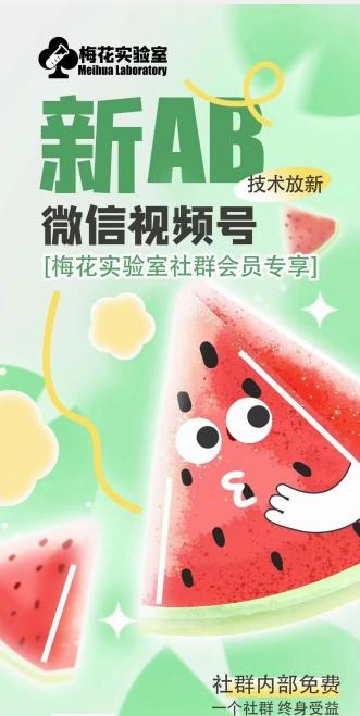 梅花实验室2024年AB技术视频号AB合成破解版-小鹏项目网