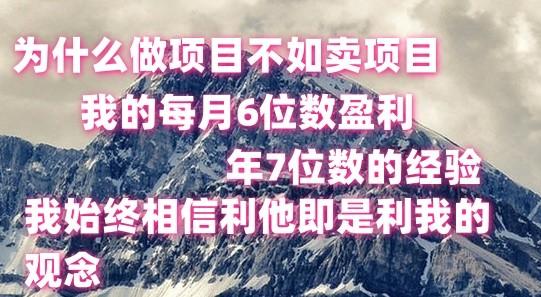 做项目不如卖项目，每月6位数盈利，年7位数经验-小鹏项目网