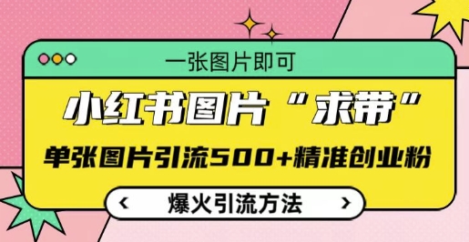 小红书图片‘求带’爆火引流法，单张图片引流500+精准创业粉【揭秘】-小鹏项目网