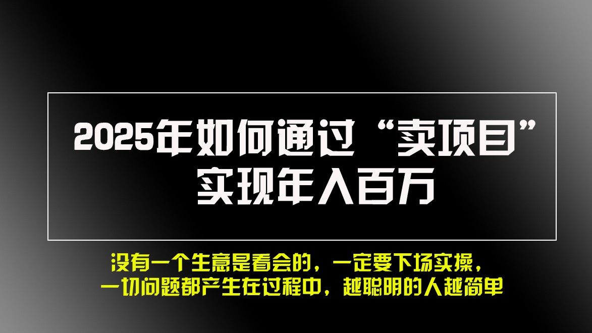 2025年如何通过“卖项目”实现年入百万-小鹏项目网