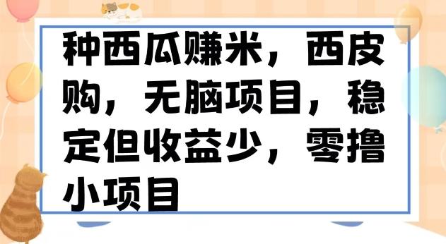 种西瓜赚米，西皮购稳定长久零撸小项目-小鹏项目网