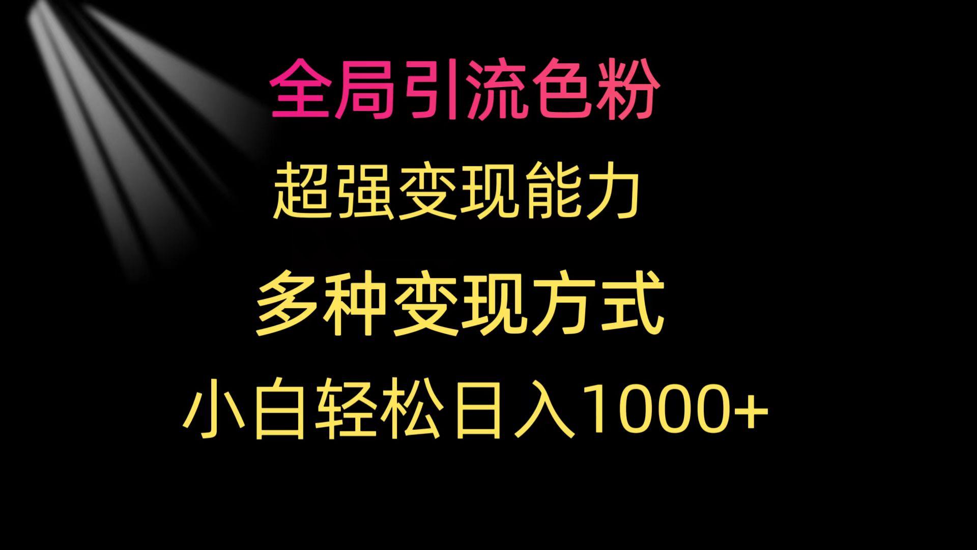 (9680期)全局引流色粉 超强变现能力 多种变现方式 小白轻松日入1000+-小鹏项目网