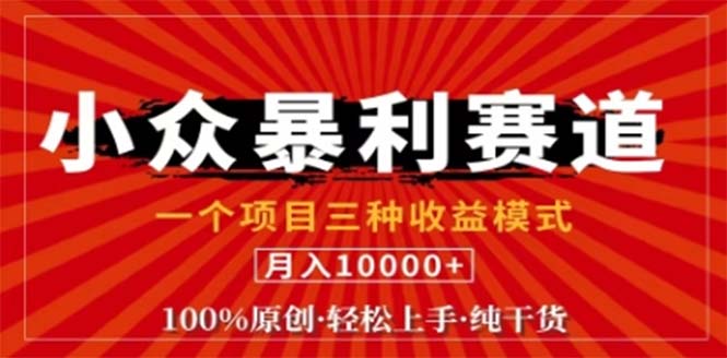 视频号最新爆火赛道，三种可收益模式，0粉新号条条原创条条热门 日入1000+-小鹏项目网