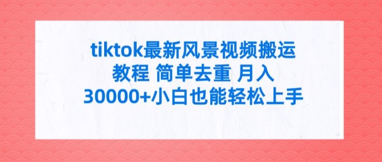 tiktok最新风景视频搬运教程 简单去重 月入3W+小白也能轻松上手【揭秘】-小鹏项目网