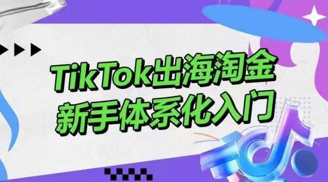 TikTok出海淘金，新手体系化入门，零基础快速入门，掌握短视频、直播带货等引流到变现的知识-小鹏项目网