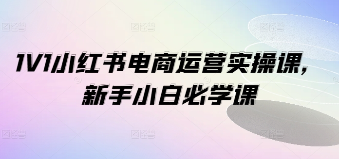 1V1小红书电商运营实操课，新手小白必学课-小鹏项目网