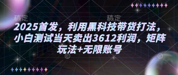 2025首发，利用黑科技带货打法，小白测试当天卖出3612利润，矩阵玩法+无限账号【揭秘】-小鹏项目网