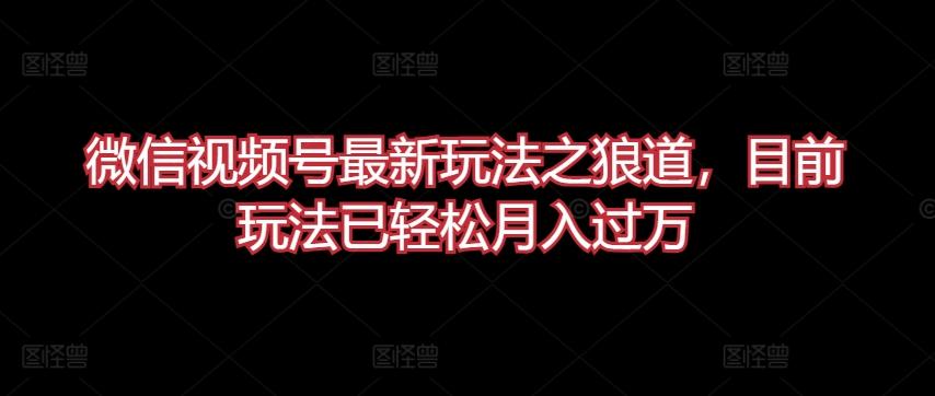 微信视频号最新玩法之狼道，目前玩法已轻松月入过万【揭秘】-小鹏项目网