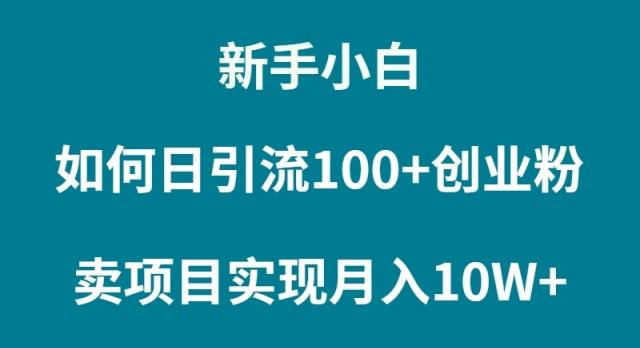(9556期)新手小白如何通过卖项目实现月入10W+-小鹏项目网