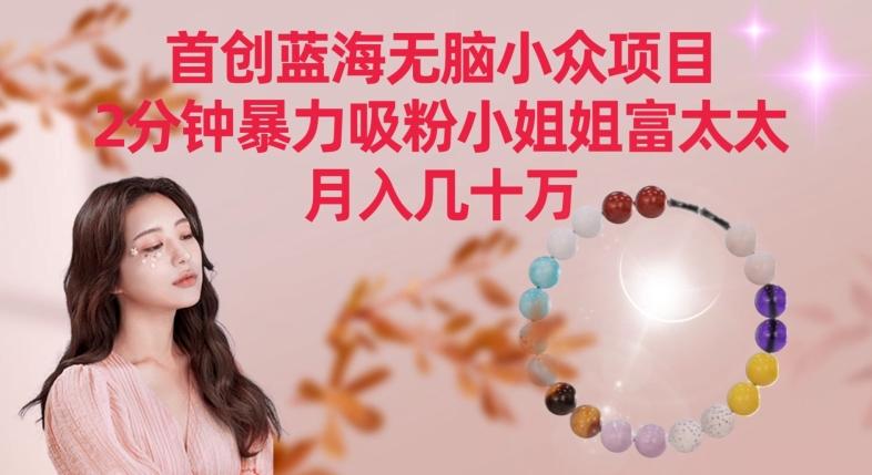 首创蓝海无脑小众项目，2分钟暴力吸粉小姐姐富太太，月入几十万【揭秘】-小鹏项目网