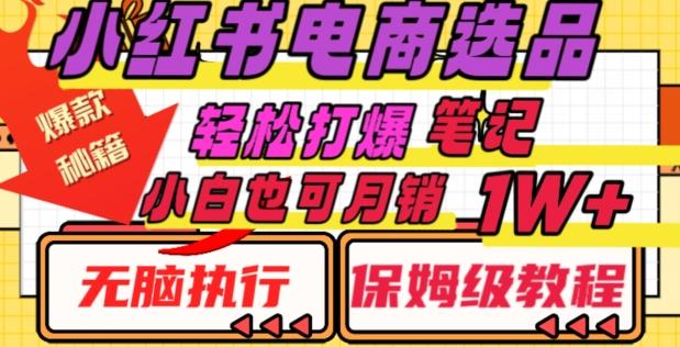 小红书电商爆款选品秘籍，帮你轻松打爆笔记，小白也可轻松月销10000+-小鹏项目网