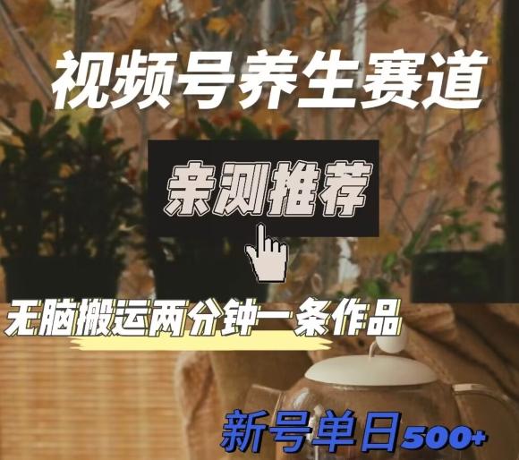 视频号养生赛道暴力掘金，无脑搬运，两分钟一条作品-新日单入500+-小鹏项目网