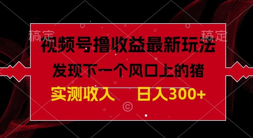 视频号分成计划最新玩法，单条作品几分钟制作完成,日入300+，过年前最后的冲刺-小鹏项目网