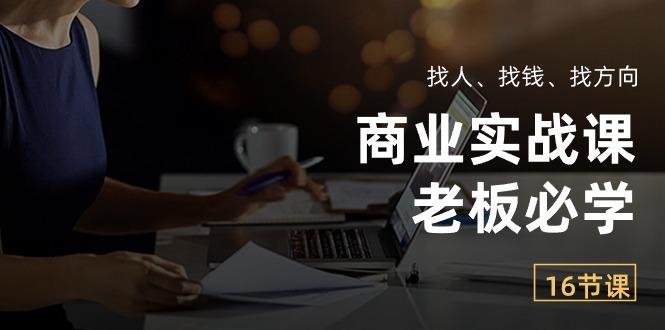 商业实战课【老板必学】：找人、找钱、找方向(16节课-小鹏项目网